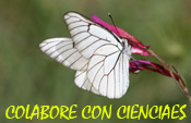 Colabore con cienciaes.com