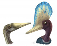 darwinopterus - Zoo de Fósiles - Cienciaes.com 