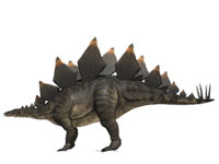 Stegosaurus - Zoo de fosiles - Cienciaes.com