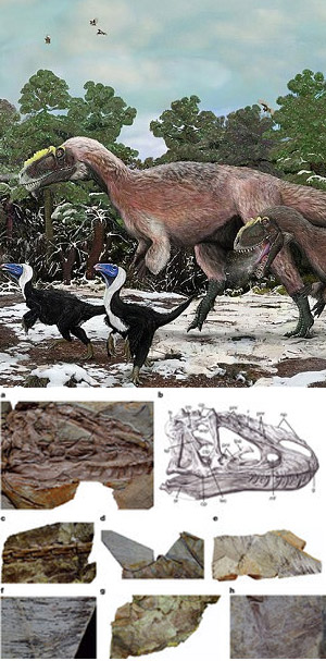yutyrannus - Zoo de fósiles - Cienciaes.com