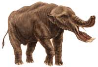 Sabana del Mioceno - Zoo de fosiles - Cienciaes.com