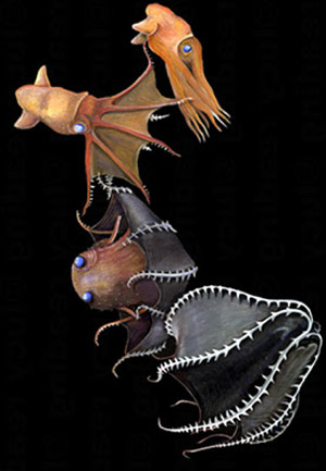 Vampyroteuthis infernalis - El Neutrino podcast - Cienciaes.com