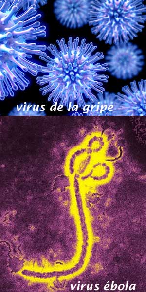 Virus - Ulises y la Ciencia podcast - Cienciaes.com