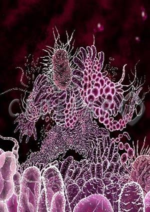 Bacterias - Cierta Ciencia podcast - Cienciaes.com