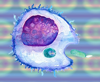 Bacterias y mitocondrias - Quilo de Ciencia podcast - CienciaEs.com