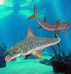 Tiburones con muchos dientes - Zoo de Fósiles podcast - Cienciaes.com