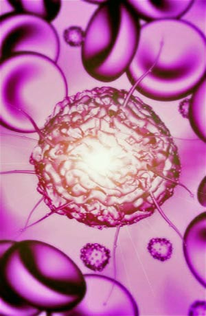 Células madre bajo estrés - Podcast Quilo de Ciencia - Cienciaes.com