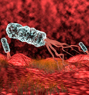 Bacterias y cáncer: una historia de coevolución - Cierta Ciencia Podcast - Cienciaes.com