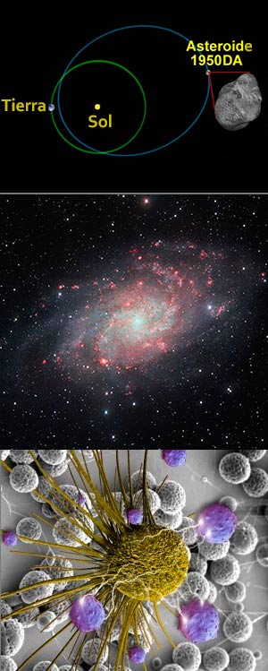 Asteroide bailarín, galaxia del Triángulo y Bacterias contra el Cáncer - Ciencia Fresca podcast - Cienciaes.com