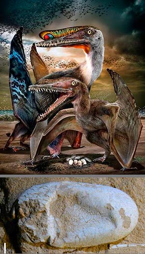Bandadas de pterodáctilos - Zoo de fósiles podcast - CienciaEs.com