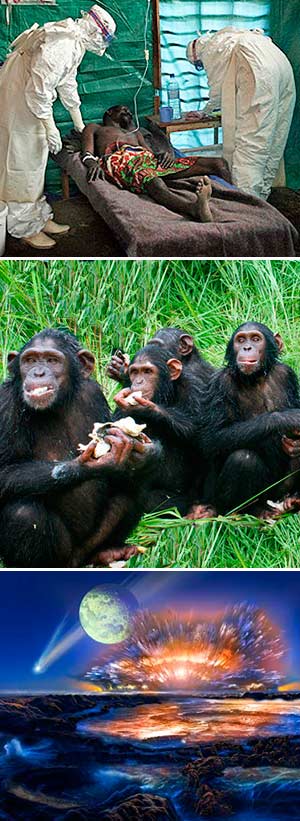 Ébola, desayuno del chimpancé y origen del agua. Podcast Ciencia Fresca - CienciaEs.com