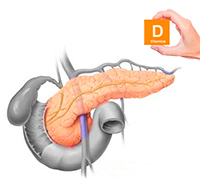 Vitamina D contra el cáncer de páncreas - Quilo de Ciencia podcast - CienciaEs.com