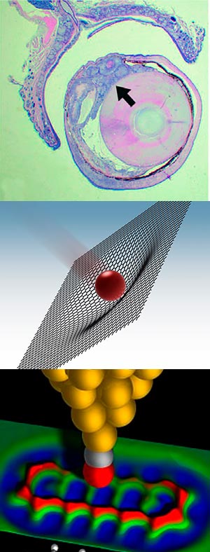 Lactato y cáncer. Balas contra el grafeno. Microscopio de fuerzas atómicas y Van der Waals - Ciencia Fresca podcast - Cienciaes.com- Podcast