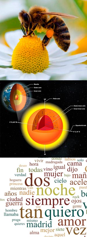 Abejas, núcleo terrestre y palabras - Podcst Ciencia Fresca - CienciaEs.com