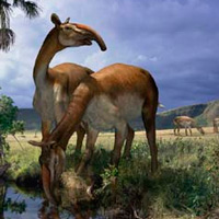 Macrauchenia - Podcast Zoo de Fósiles - CienciaEs.com