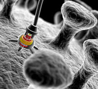 Quilo de Ciencia - nanocapsulas - cienciaes.com