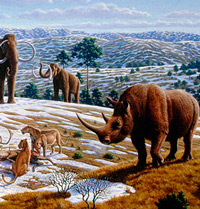 El rinoceronte lanudo - Zoo de fósiles podcast - CienciaEs.com