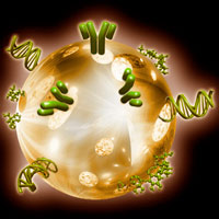 Nanotecnología, un arma más contra el cáncer - Cierta Ciencia podcast - CienciaEs.com