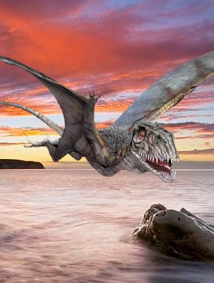 Dimorphodon - Podcast Zoo de Fósiles - CienciaEs.com