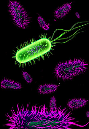 Bacterias buenas - Cierta Ciencia podcast - CienciaEs.com