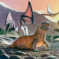 Eunotosaurus, la primera tortuga - Zoo de fósiles podcast - CienciaEs.com