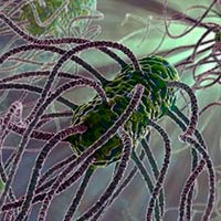 Evolución bacteriana time-lapse - Quilo de Ciencia podcast - CienciaEs.com