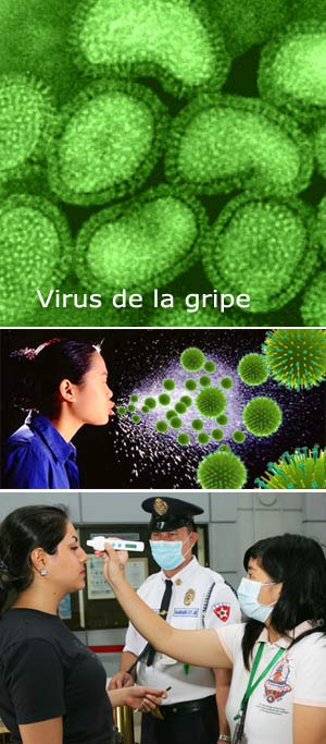 Gripe A - Quilo de ciencia - cienciaes.com