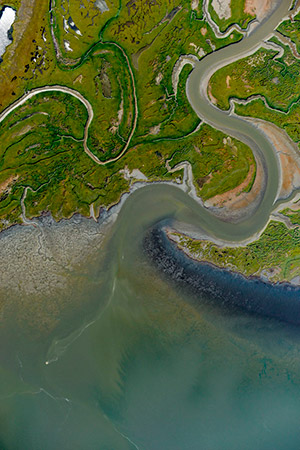Estuarios, puertas al mar - Podcast  Hablando con Científicos