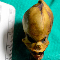 No alien. Homo antecessor. Alfa Centaauri. Podcast Vanguardia de la Ciencia - CienciaEs.com