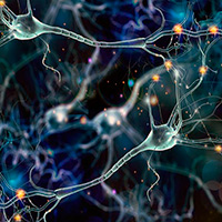 La vida secreta de las neuronas - Cierta ciencia podcast - CienciaEs.com
