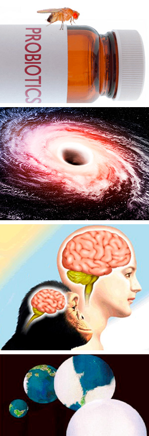 Longevidad, agujeros negros - Ciencia Fresca podcast - CienciaEs.com