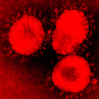 Coronavirus - Quilo de ciencia podcast - CienciaEs.com