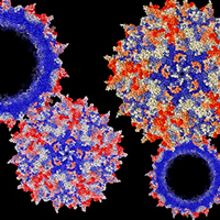 Vacunas contra el coronavirus - Cierta Ciencia podcast - CienciaEs.com
