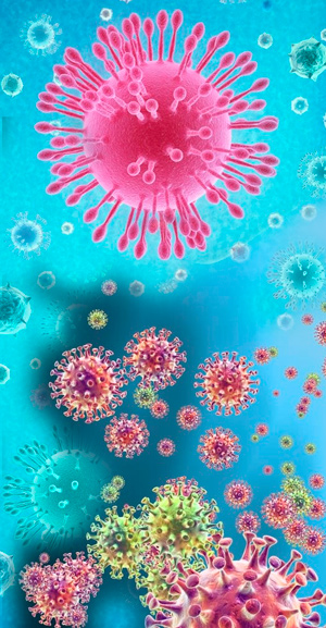Retroevolución de los coronavirus. Quilo de Ciencia podcast - CienciaEs.com