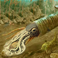 Endocéridos - Zoo de fósiles podcast - CienciaEs.com