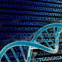 Bases del ADN - Quilo de Ciencia podcast - CienciaEs.com