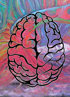 Plasticidad cerebral - Cierta Ciencia podcast - CienciaEs.com
