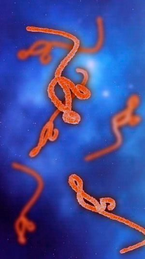 Ébola explicado - Quilo de Ciencia podcast - Cienciaes.com