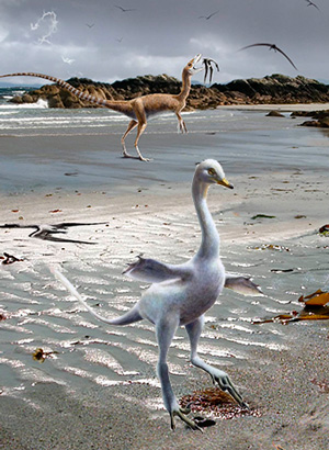 Halszkaraptor, el dinosaurio cisne. Zoo de Fósiles podcast - CienciaEs.com