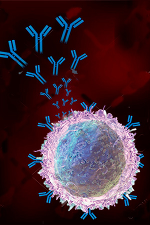 Linfocito B - Sistema inmune 6 - Hablando con Científicos podcast - CienciaEs.com