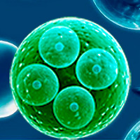 Recambios celulares - Quilo de Ciencia podcast - CienciaEs.com