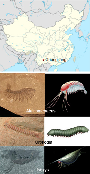 Chengjiang - Zoo de Fósiles podcast - Cienciaes.com