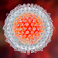 Sistema inmunitario 10 - Hablando con Científicos podcast - CienciaEs.com