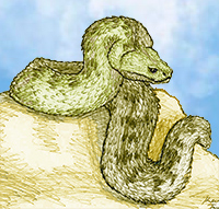 Serpientes gigantes - Zoo de Fósiles podcast - Cienciaes.com