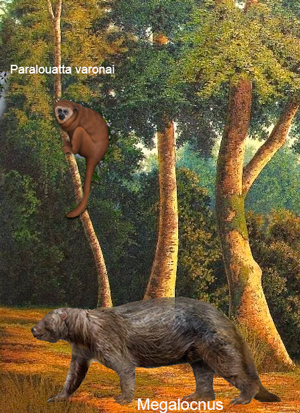 Animales extintos de Cuba - Zoo de Fósiles podcast - CienciaEs.com