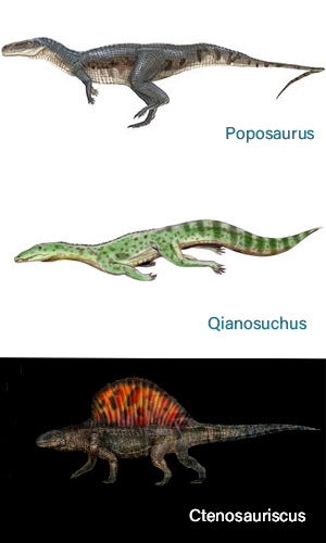 Poposauridos - Zoo de fósiles podcast - Cienciaes.com