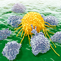 Inmunoterapia contra el cáncer - Quilo de Ciencia podcast - Cienciaes.com