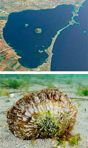 Remediación Mar Menor - Hablando con Científicos podcast - Cienciaes.com