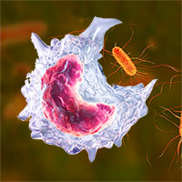 Inmunodeficiencia-2 Hablando con Científicos podcast - CienciaEs.com