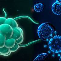 Inmunidad entrenada -Quilo de Ciencia podcast  - Cienciaes-cpm